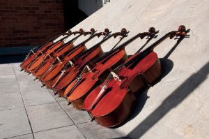 Curso Violonchelos